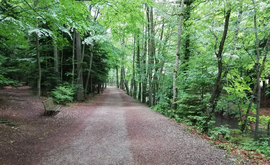 Diaporama